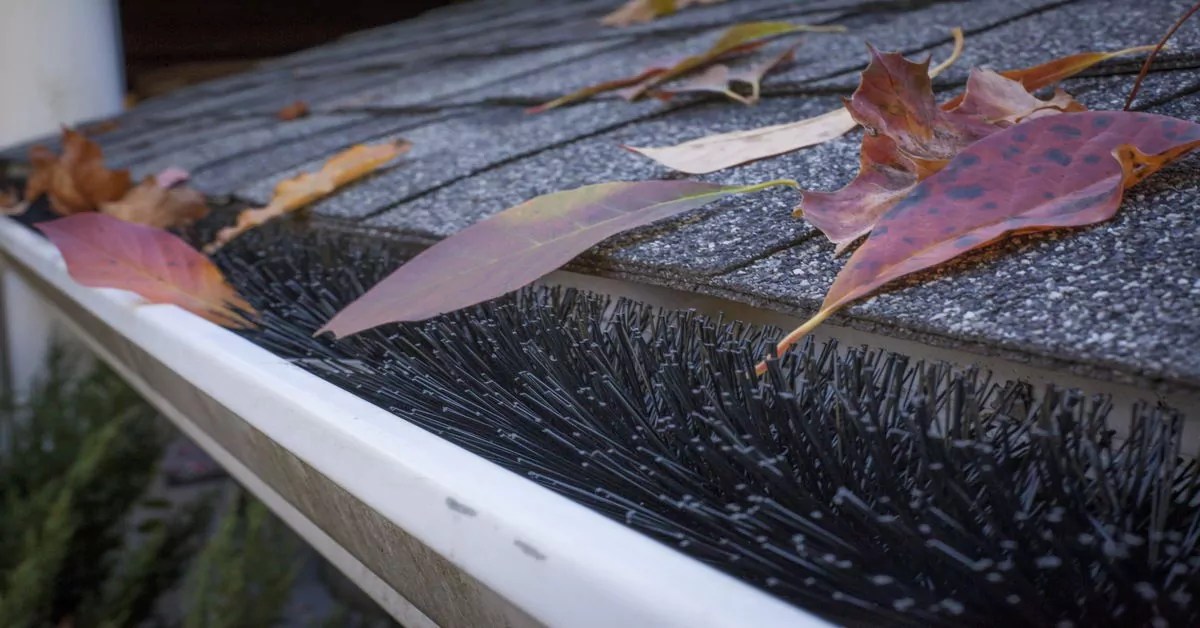 Cost of Gutter Guards Are They Worth It? » The Money Pit