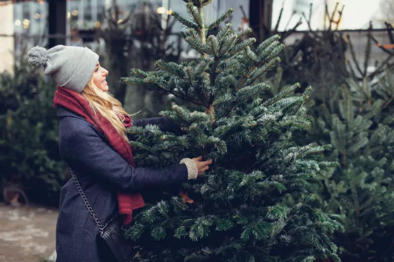 Best Tips for Buying a Fresh Christmas Tree » The Money Pit