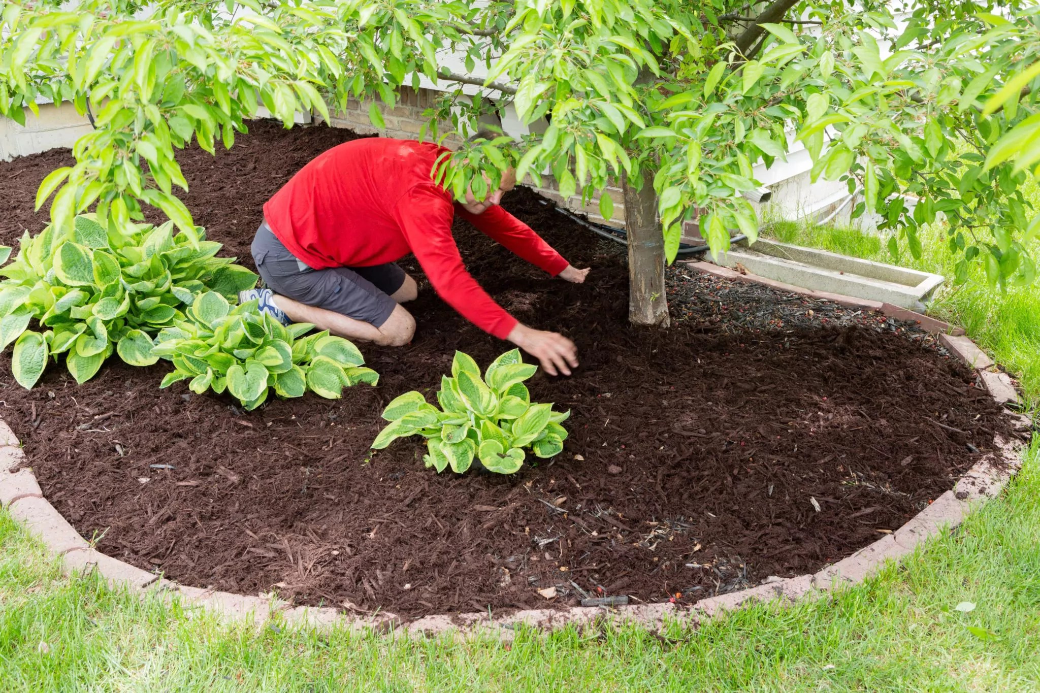 How to Apply Mulch Properly » The Money Pit