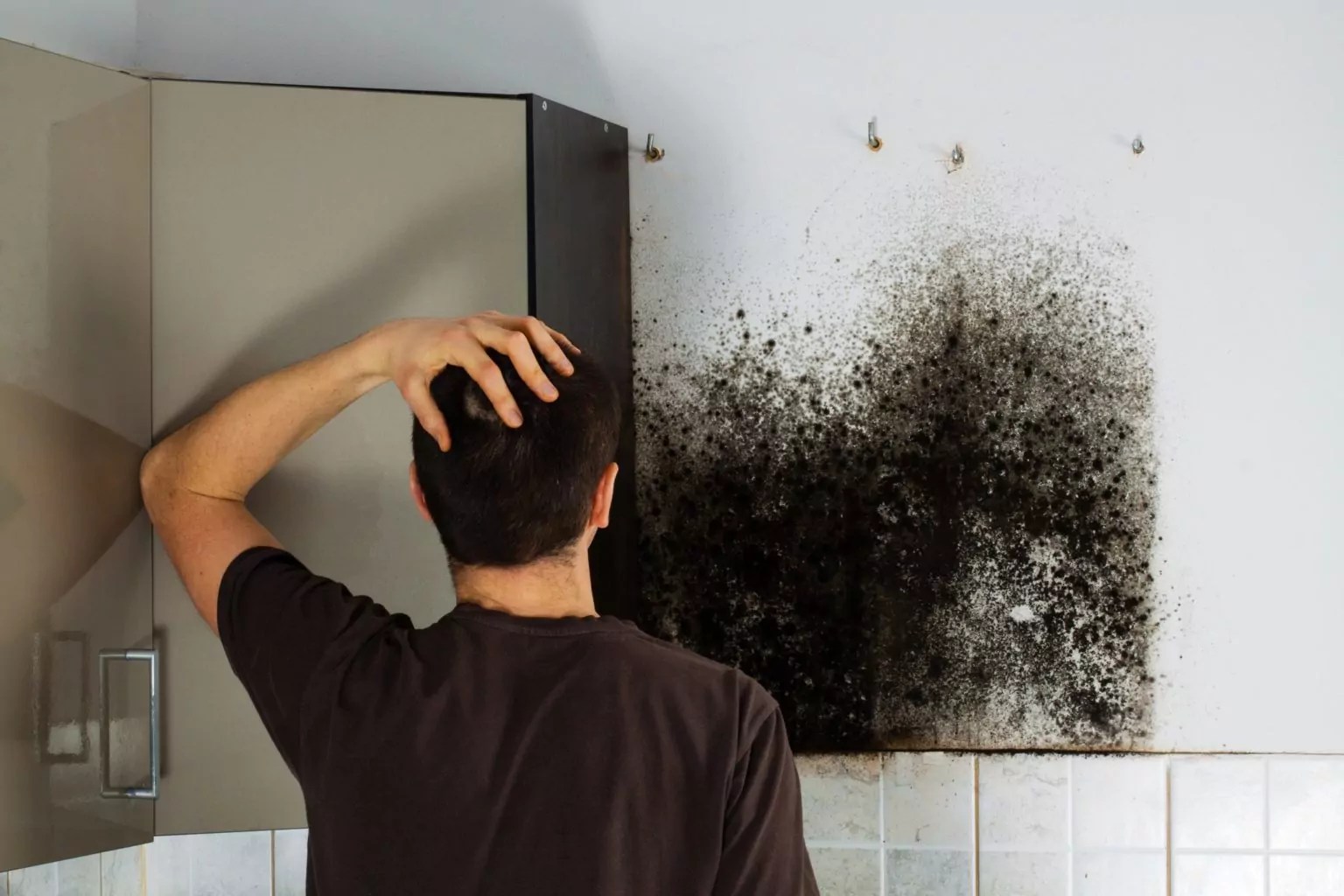 Tip to Safely Remove Black Mold from Bathroom Sink & Tub » The Money Pit