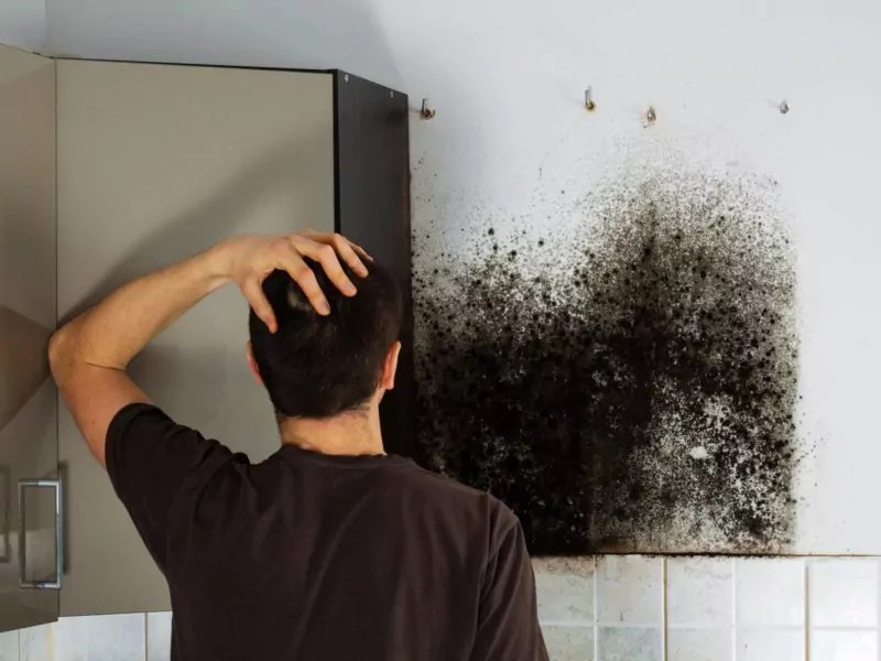 Tip to Safely Remove Black Mold from Bathroom Sink & Tub » The Money Pit