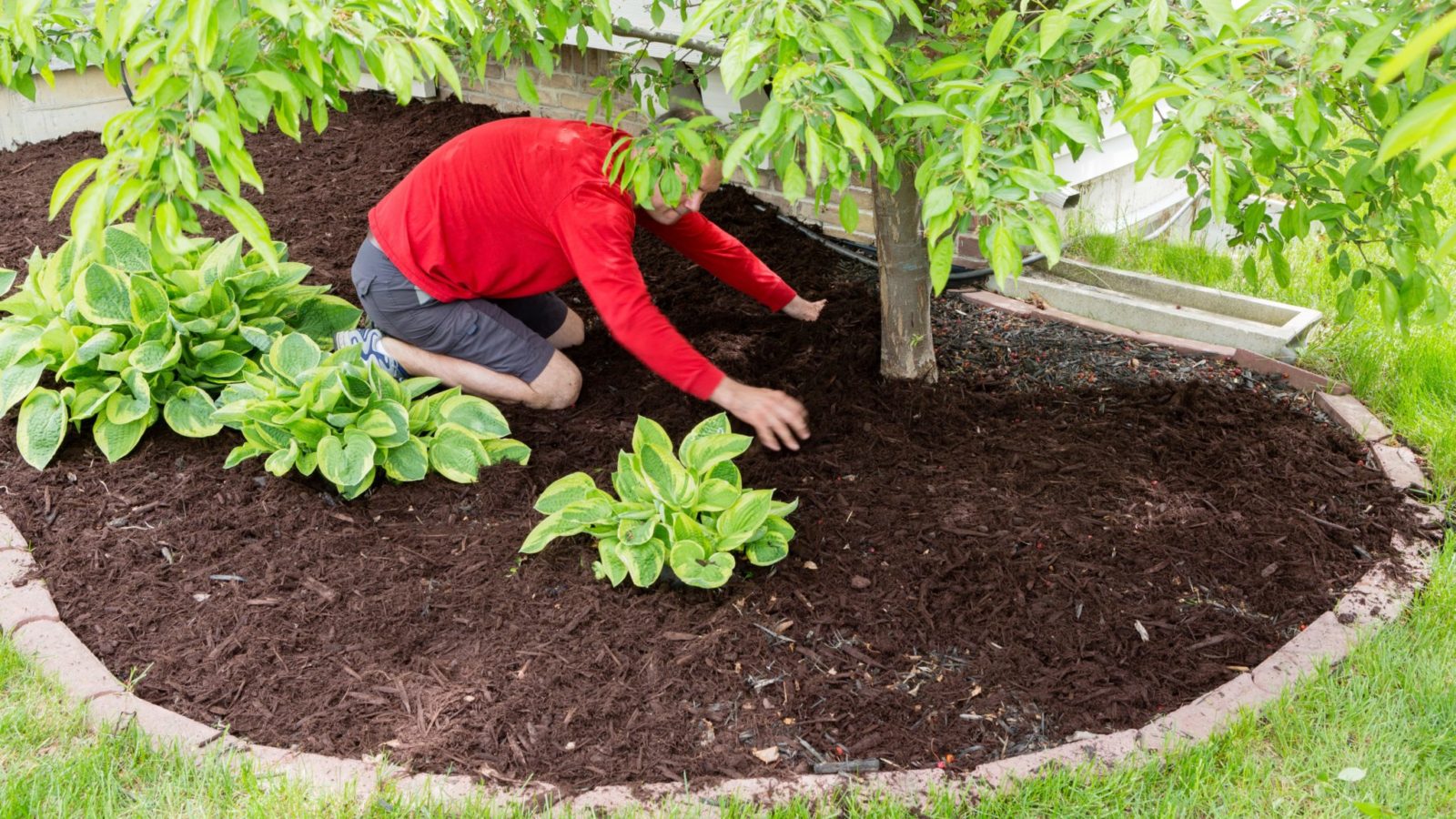 How To Edge Garden Beds Video » The Money Pit