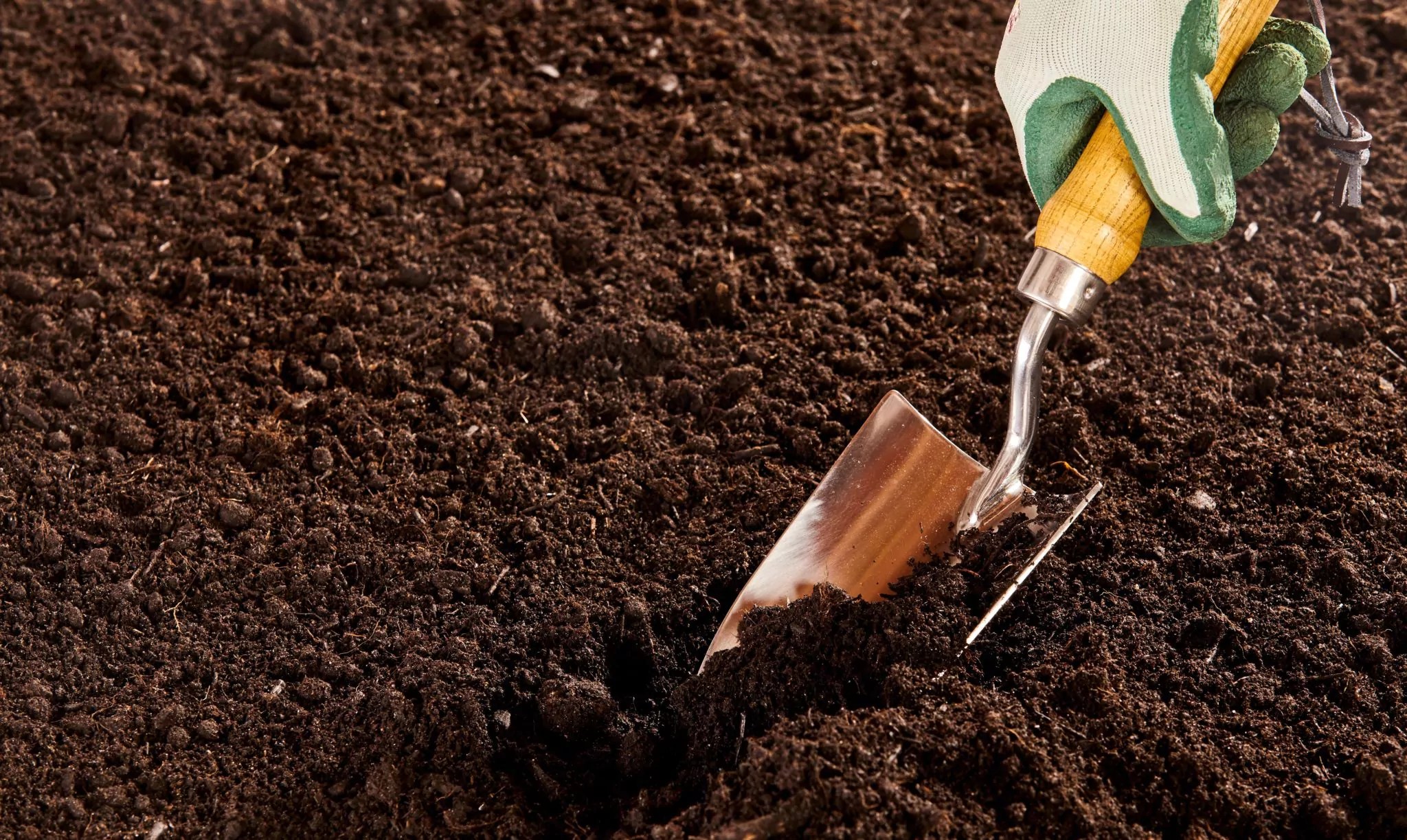 How to Test Your Soil » The Money Pit