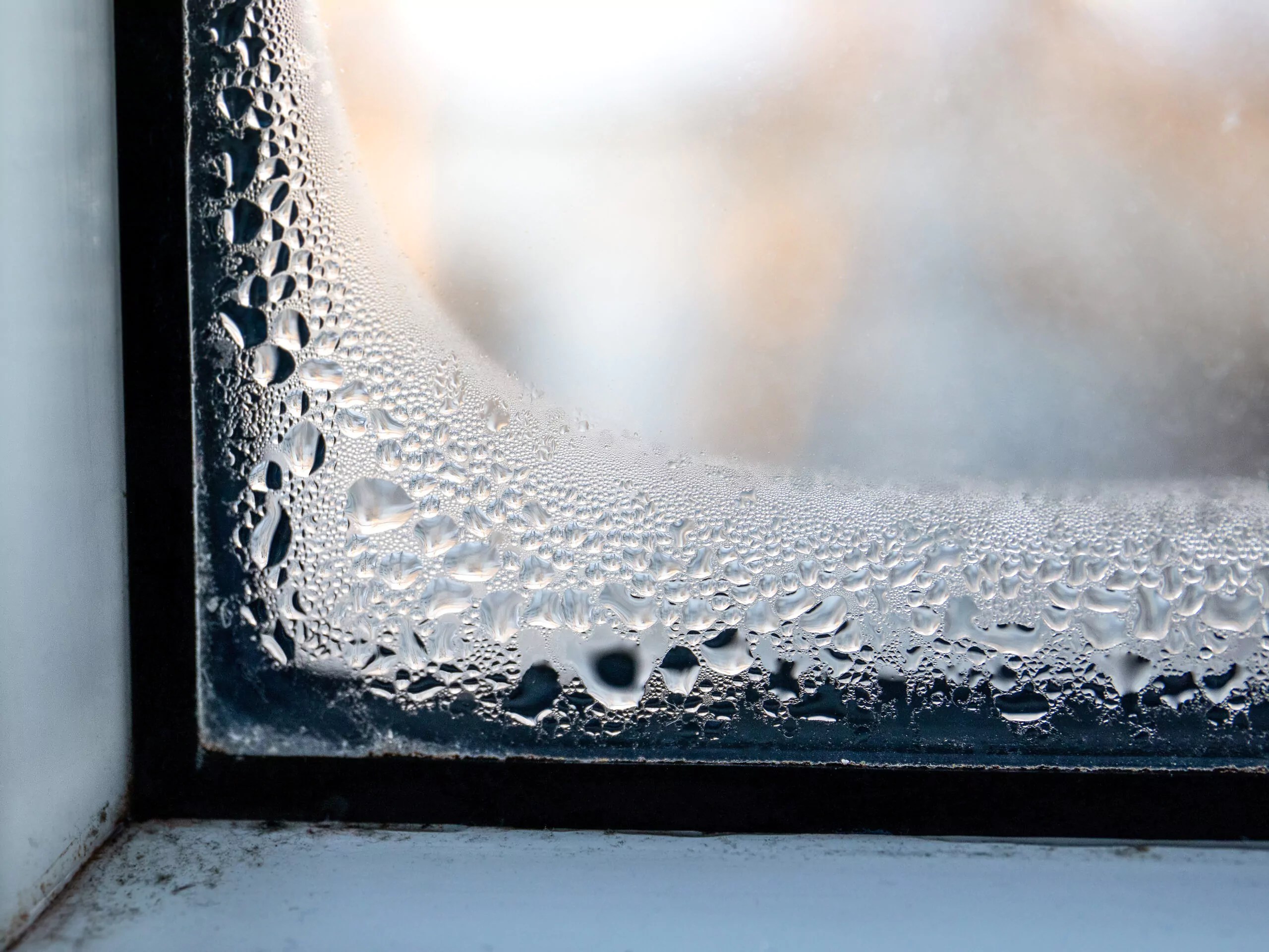 Basement Condensation Prevent Sweating Concrete Walls