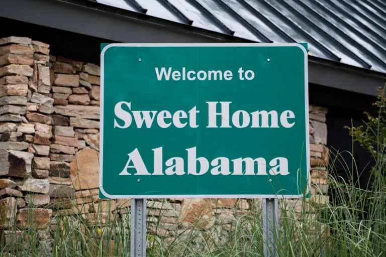 25 Best Credit Unions in Alabama [Updated for 2020]