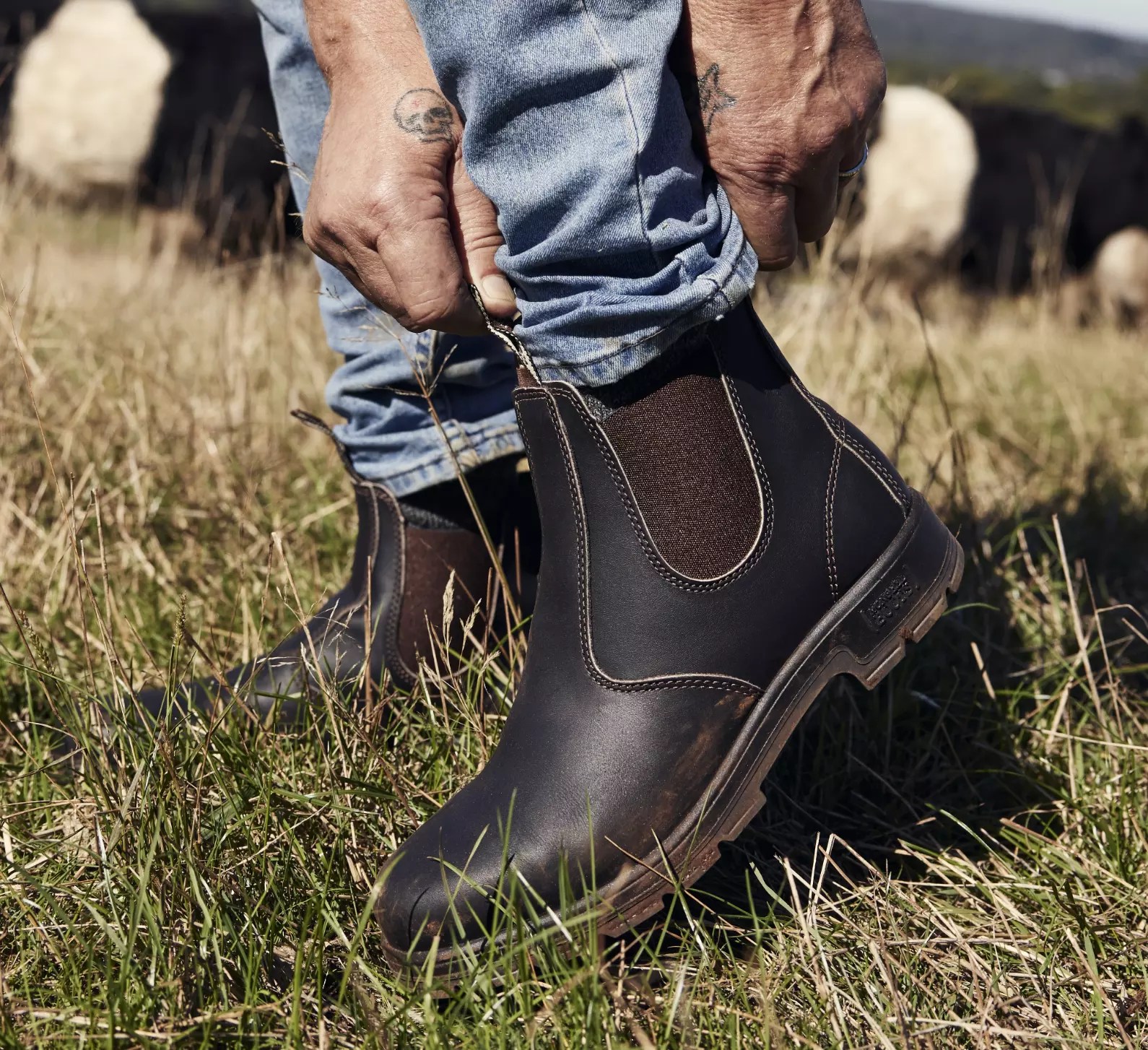 K9 Claret Oil Kip Mongrel Boots