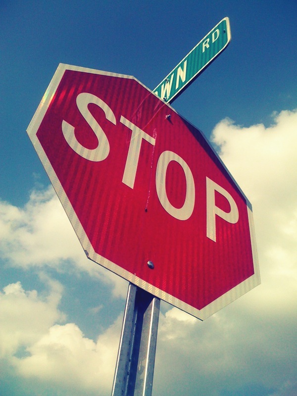 Inside the Mind of the Monkey » Blog Archive » What Dreams May Come…