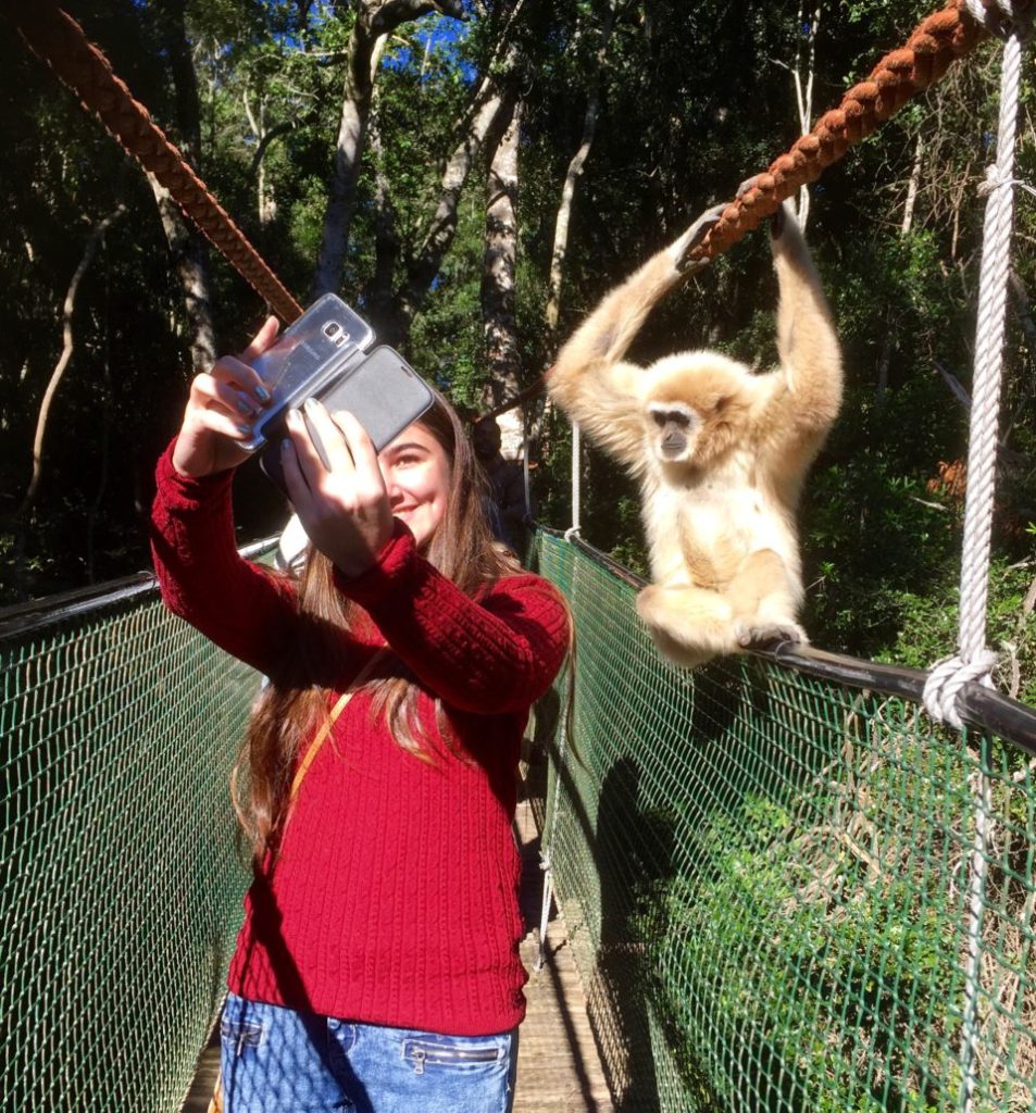 Home Monkeyland™ Monkeyland Primate Sanctuary