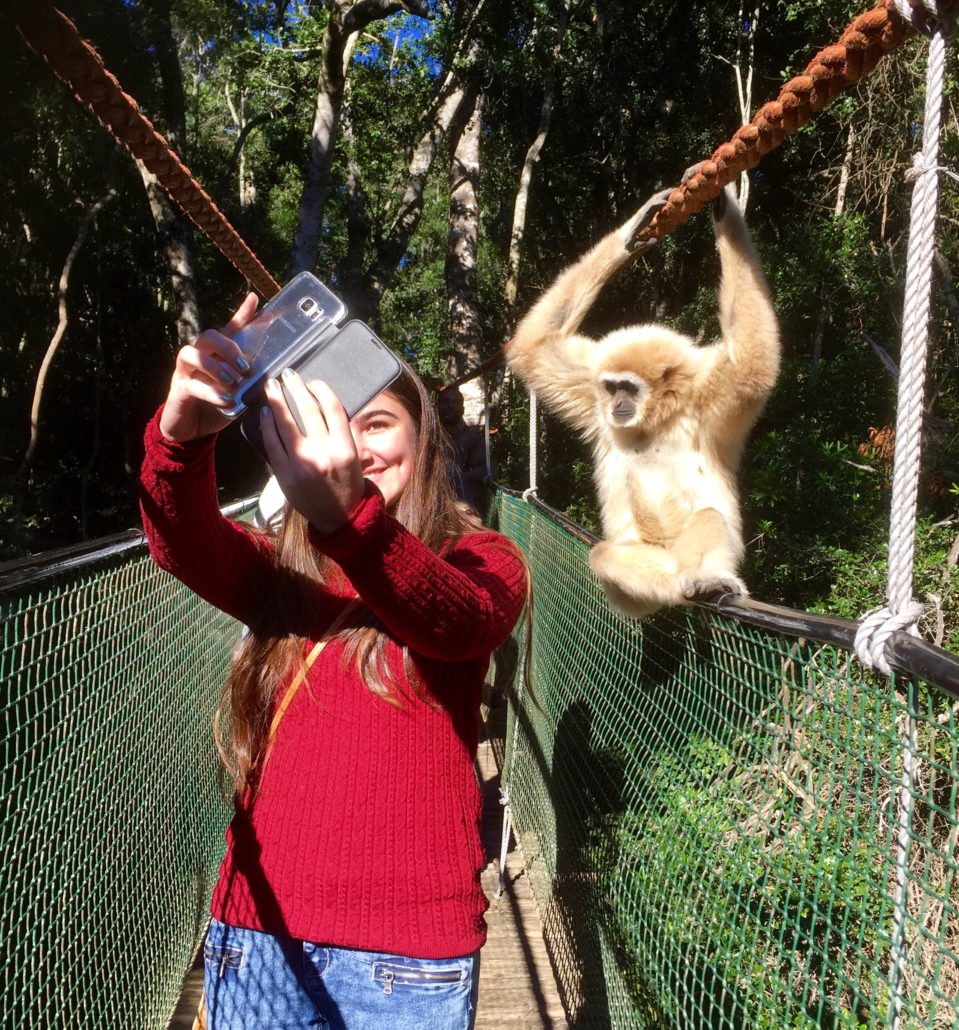 Home Monkeyland™ Monkeyland Primate Sanctuary