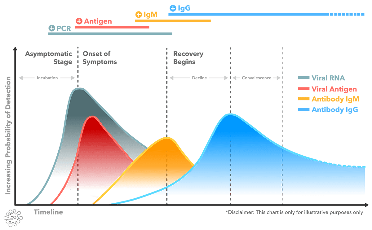 SARSCoV2 Antigen Tests Monocent Core Provider of HIgh Quality IVD