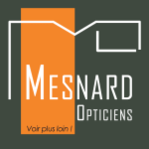 MESNARD OPTICIENS, Opticien SAINTE MAURE DE TOURAINE, 37800 ZAC LES