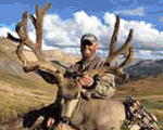 Mule Deer Elk And Western Big Game Hunting