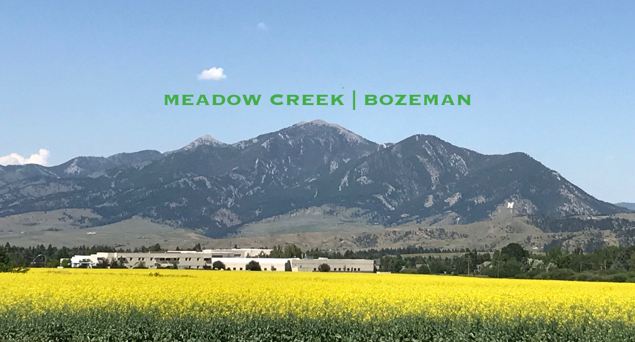 Meadow Creek Homes for Sale Bozeman Real Estate
