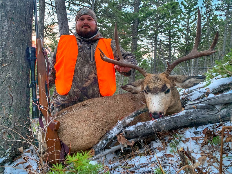Montana whitetail deer hunts
