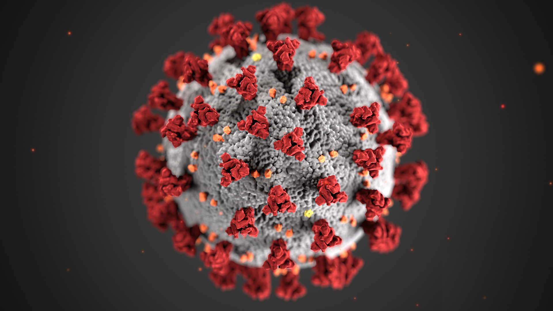 Follow Up Of A Very Important Read About Covid 19 Pandemic Images, Photos, Reviews
