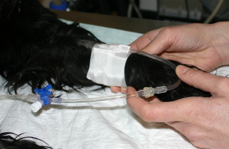 Schmerztherapie Anästhesie und Schmerztherapie Medizinische