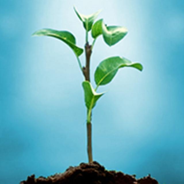 Plants MOOC and Free Online Courses MOOC List