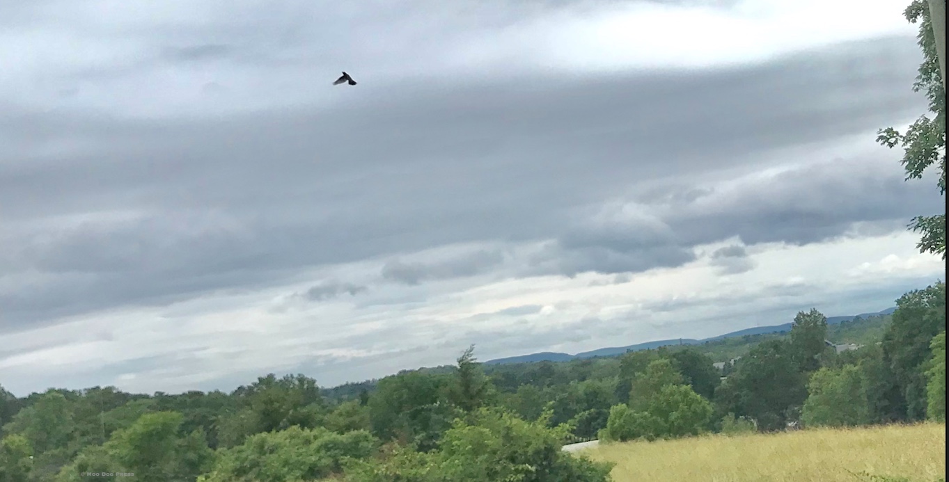 CT River Valley Time Flows Minerals and Strickland Quarry Unearthed