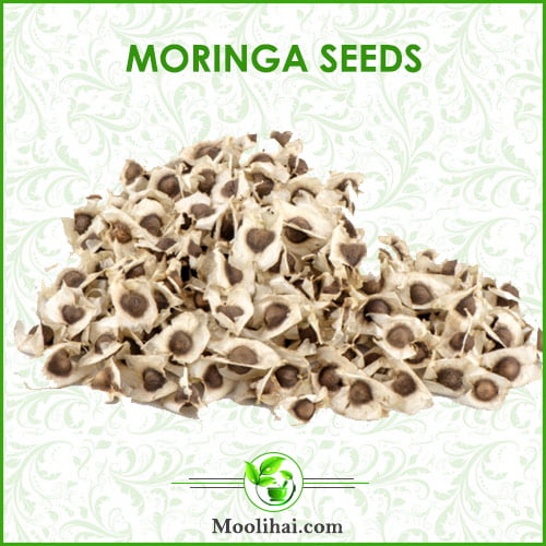 23 Possible Health Benefits of Moringa Seeds [For Skin & Hair]
