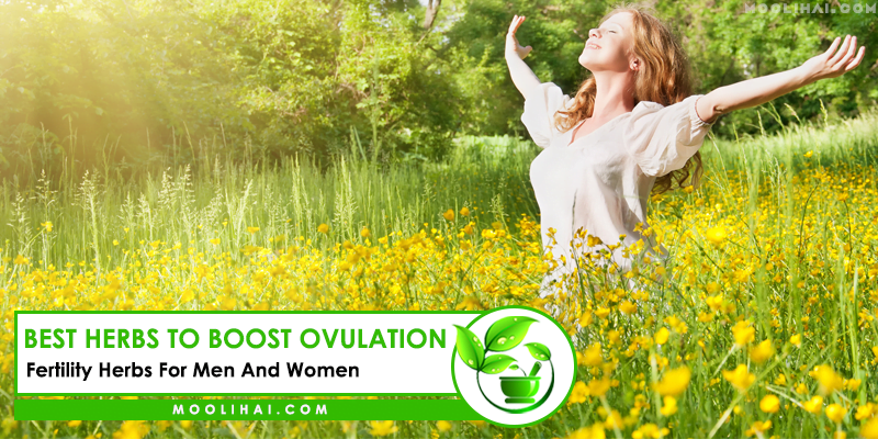 Best Herbs to Boost Ovulation Herbs for Natural
