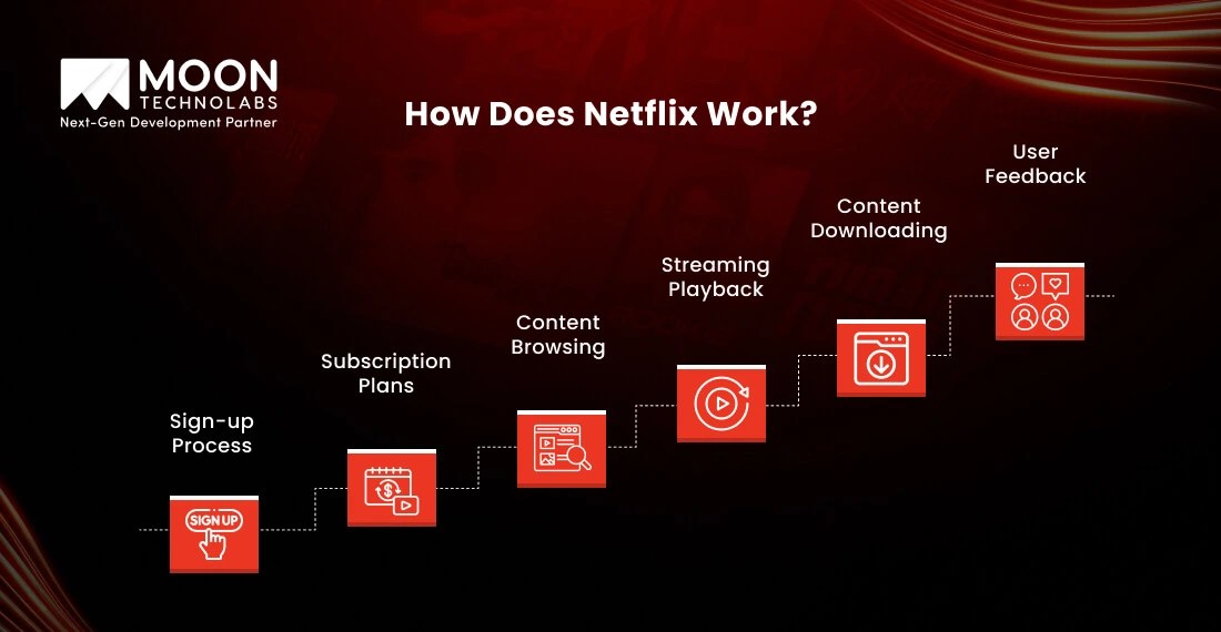 Netflix Business Model Features, Revenue, and Success
