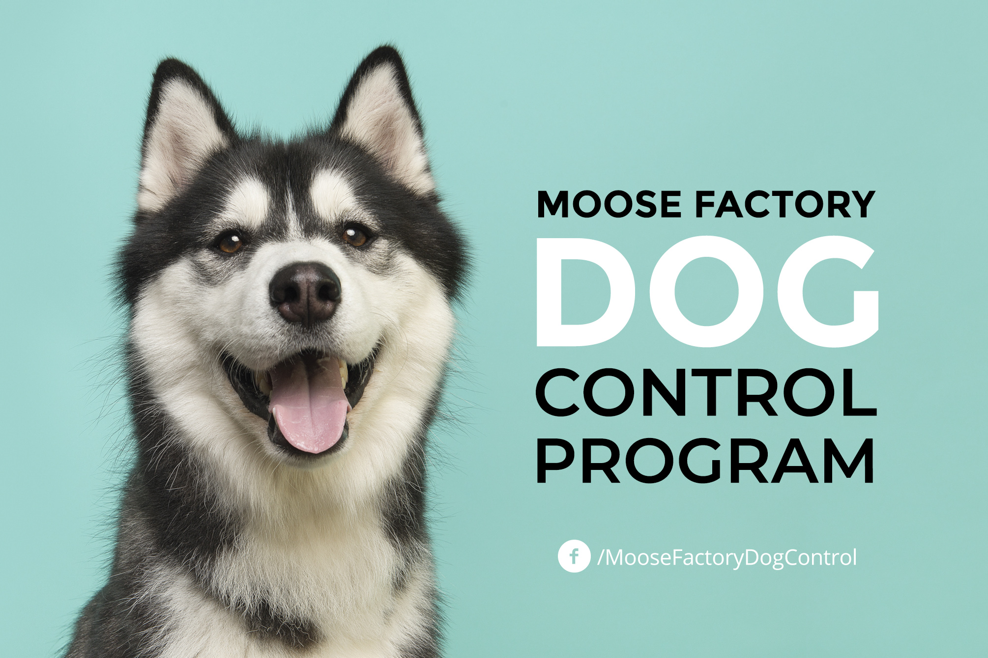 Dog Control Program Moose Cree First Nation