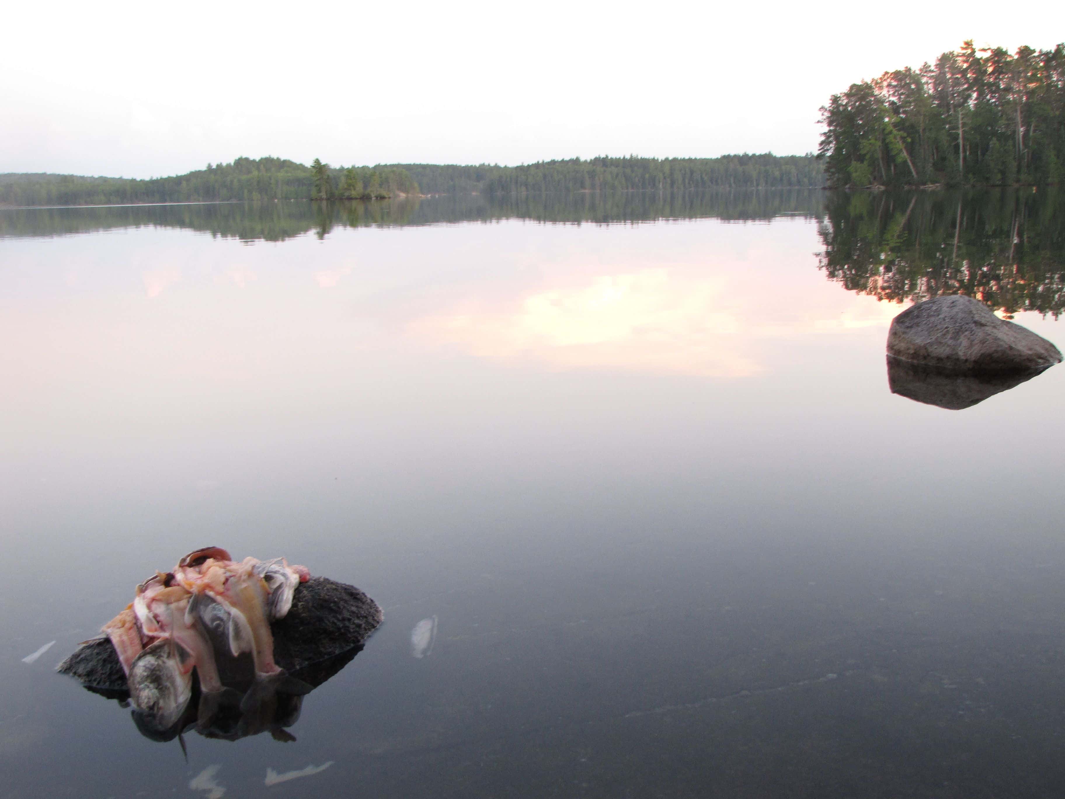 Boundary Waters Canoe Area Permits & Reservations Minnesota