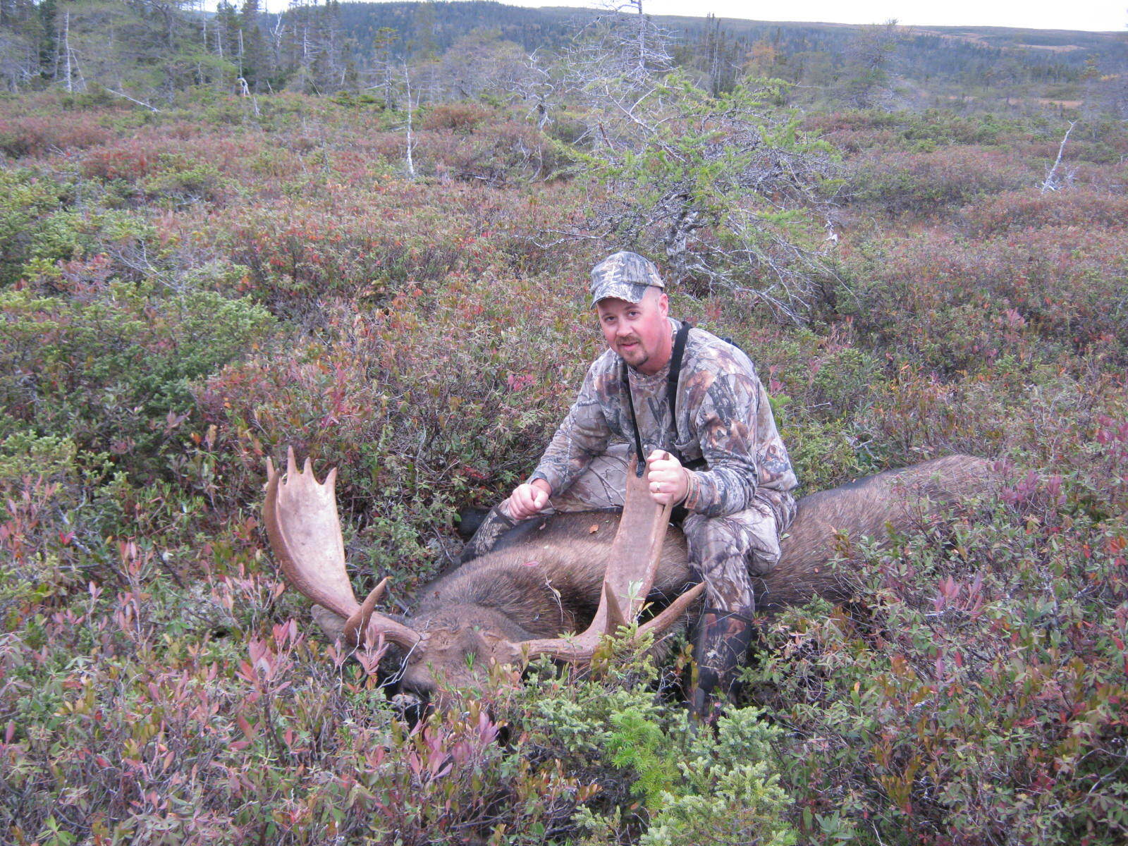 Home Moose Valley Outfitters Limited