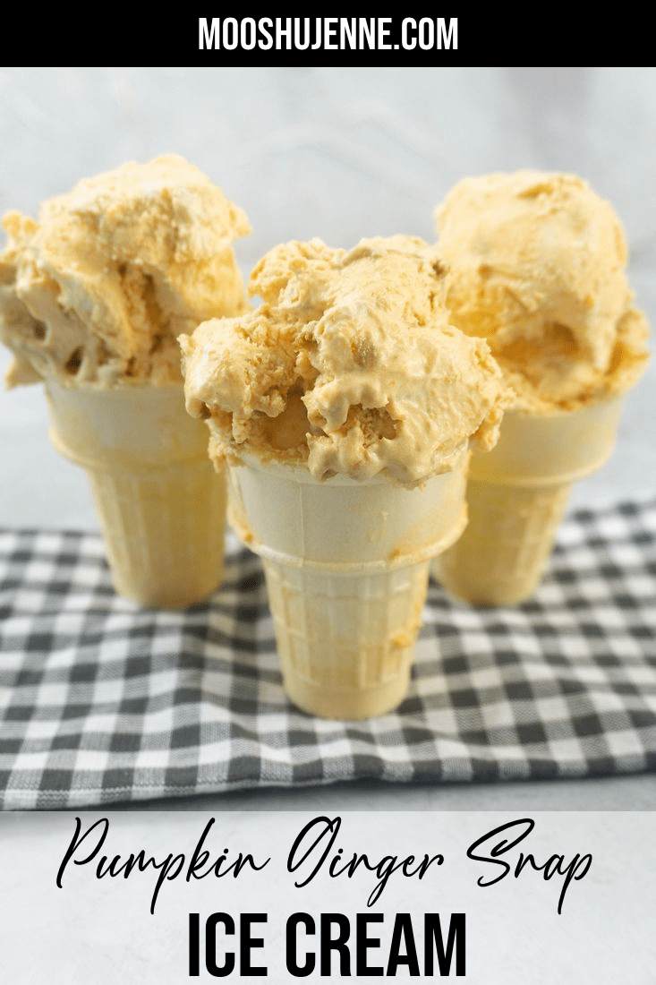 Pumpkin Ginger Snap Ice Cream Mooshu Jenne