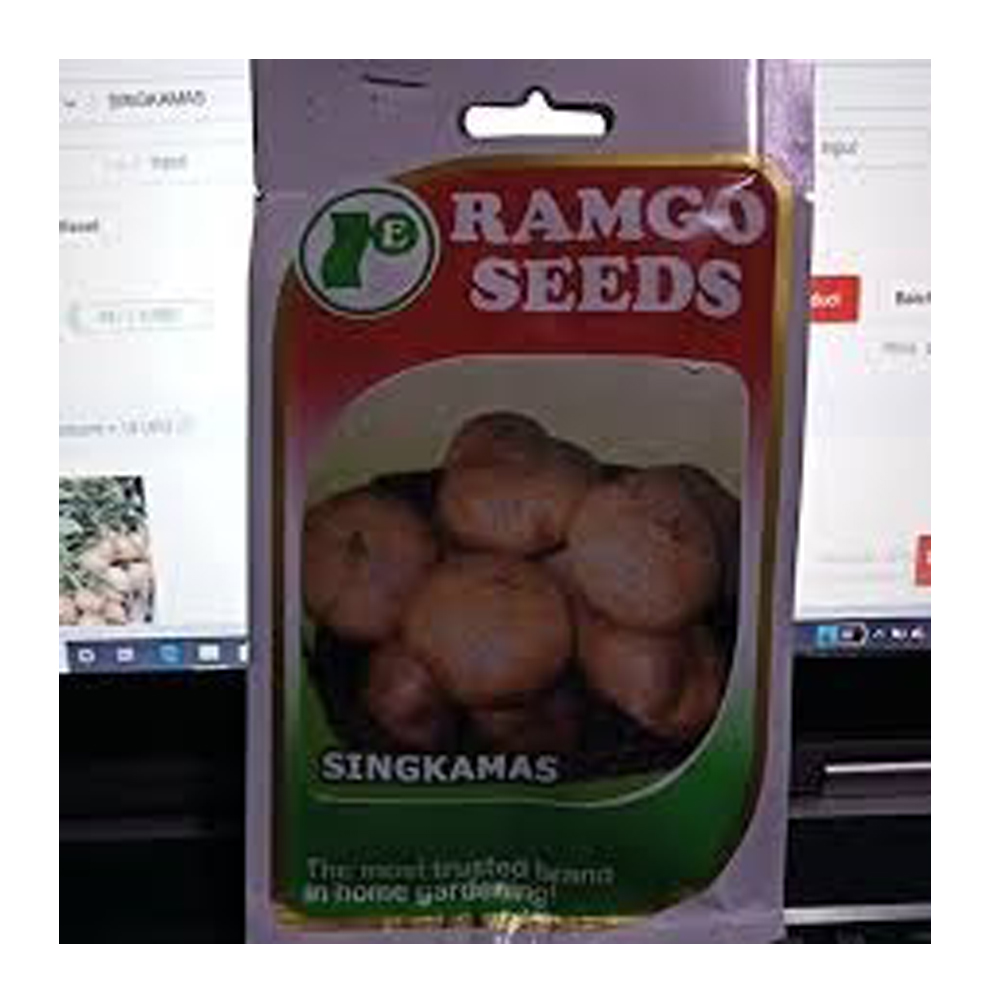 RAMGO TURNIP SINGKAMAS PACKET SEEDS Moostbrand Home Depot