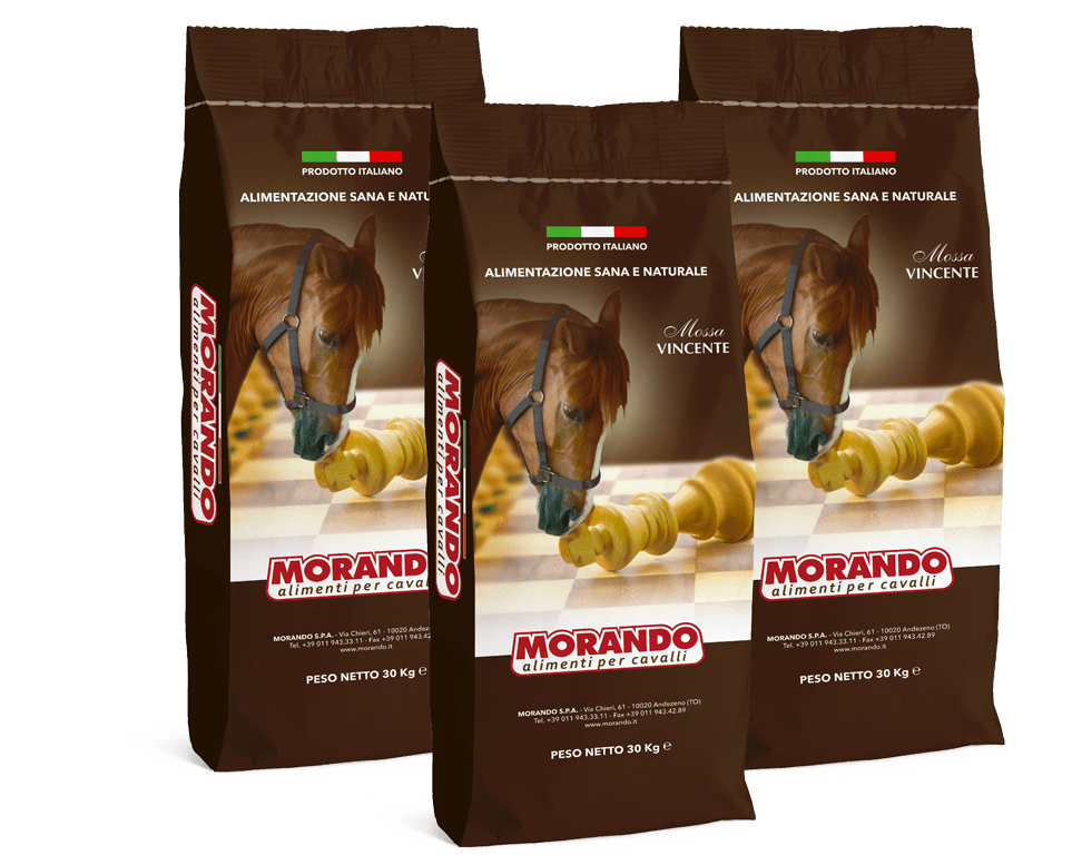 Linee per Cavalli Morando