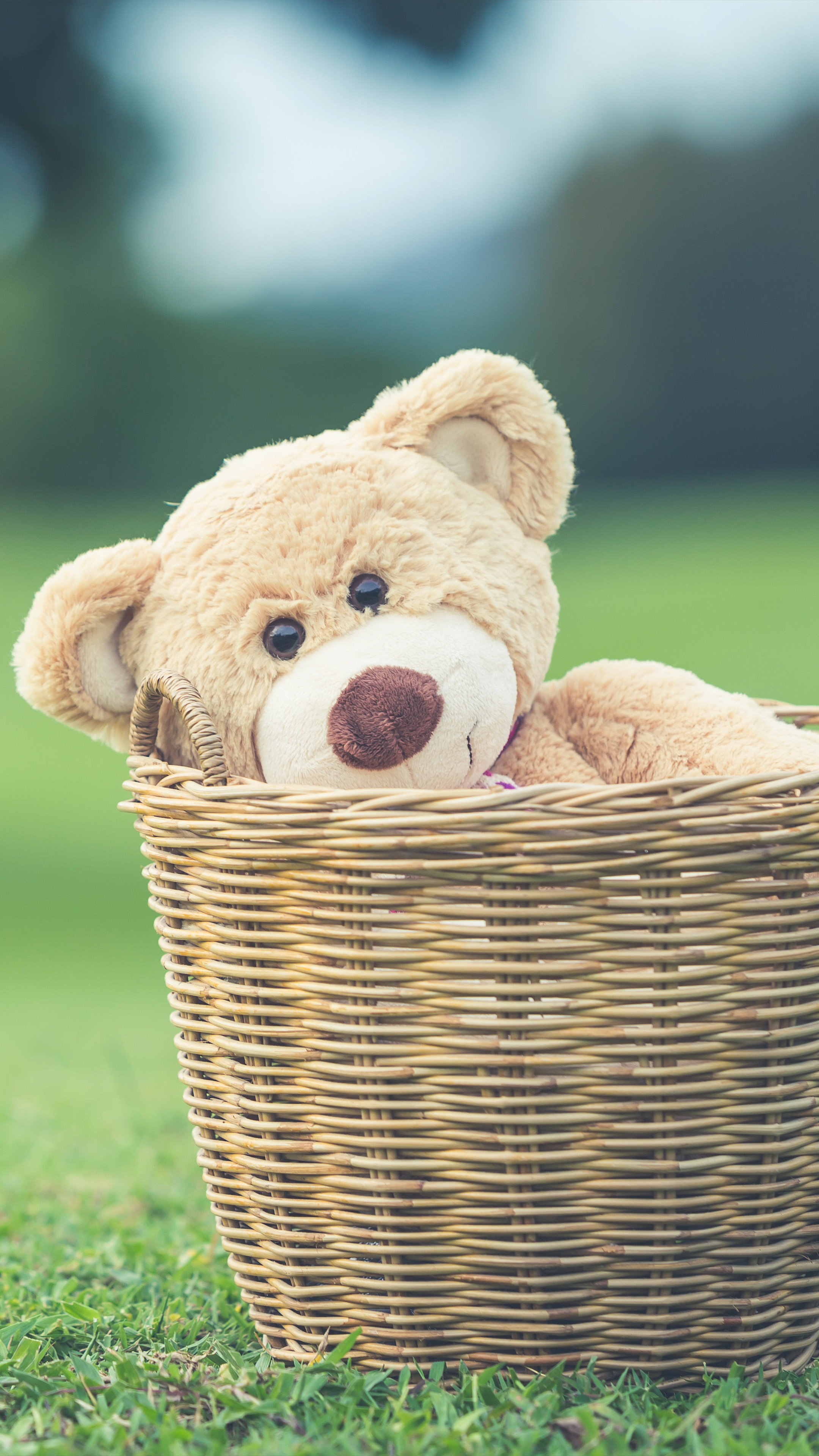 11++ Iphone Wallpaper Hd Teddy Bear Bizt Wallpaper