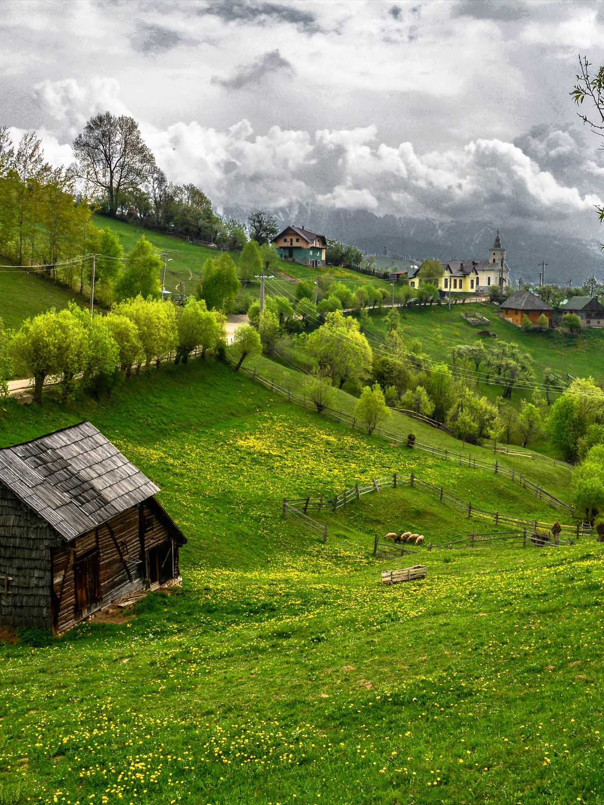 Enjoy the serenity of Village green background images For your desktop