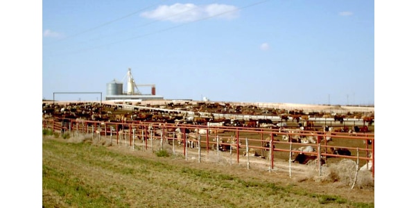 Response to Farm System Reform Act against Morning Ag Clips