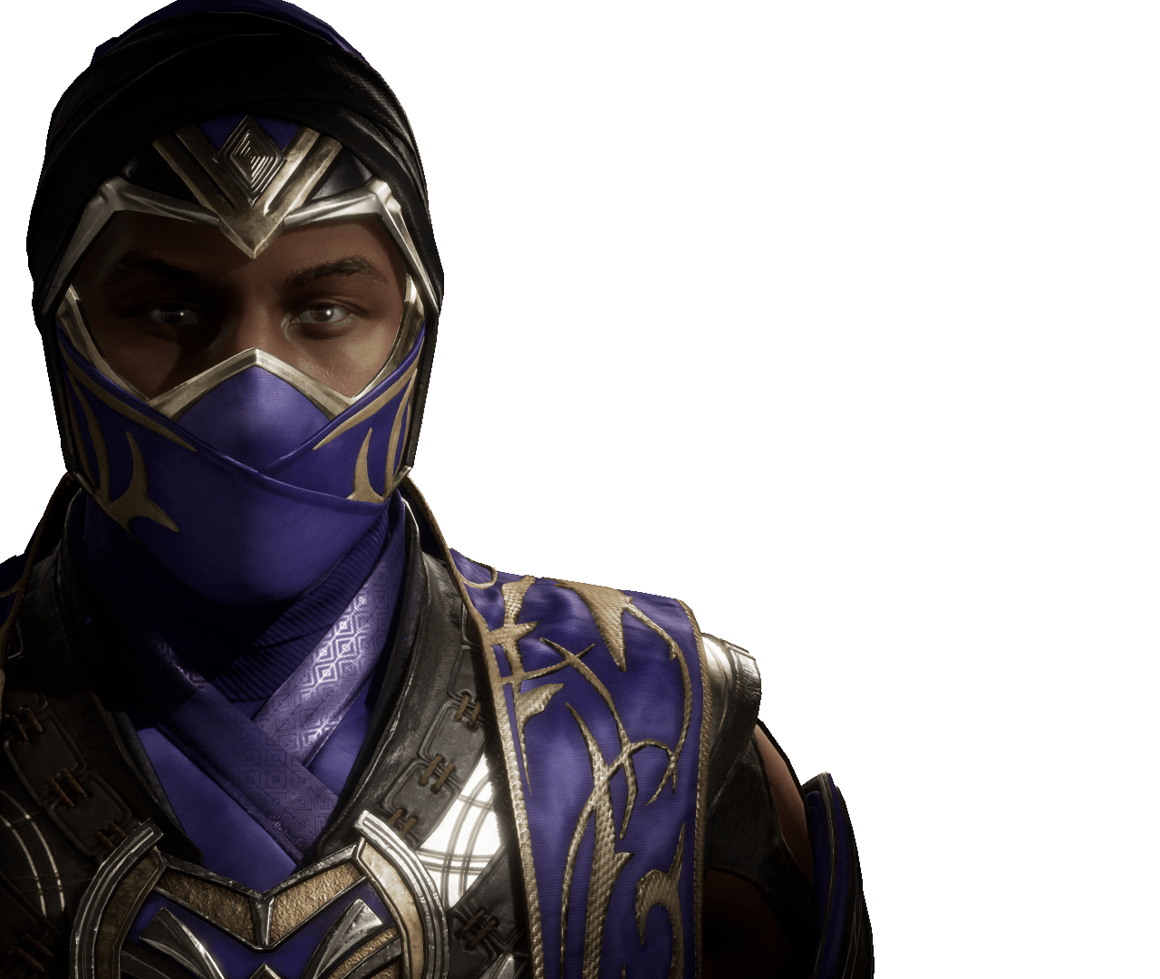 MKWarehouse Mortal Kombat 11 Rain