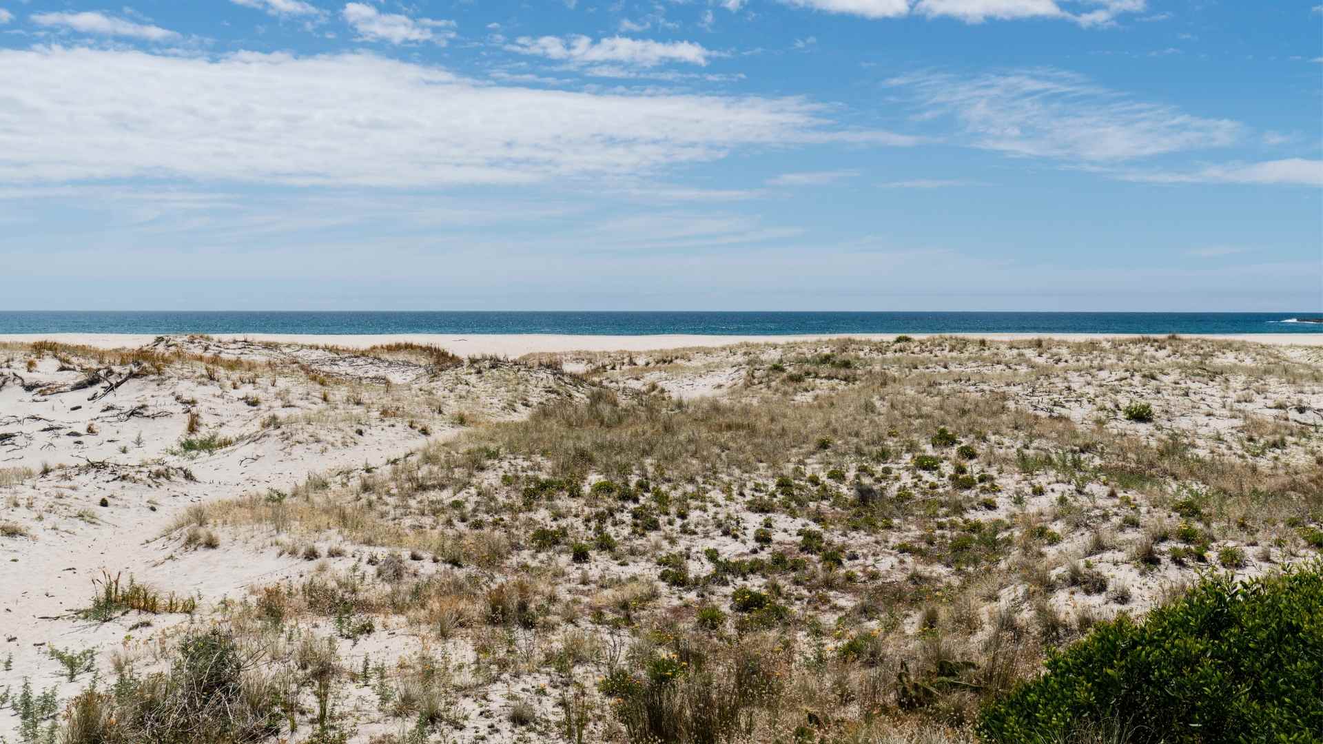 How to Spend a Day in Parker River National Wildlife Refuge