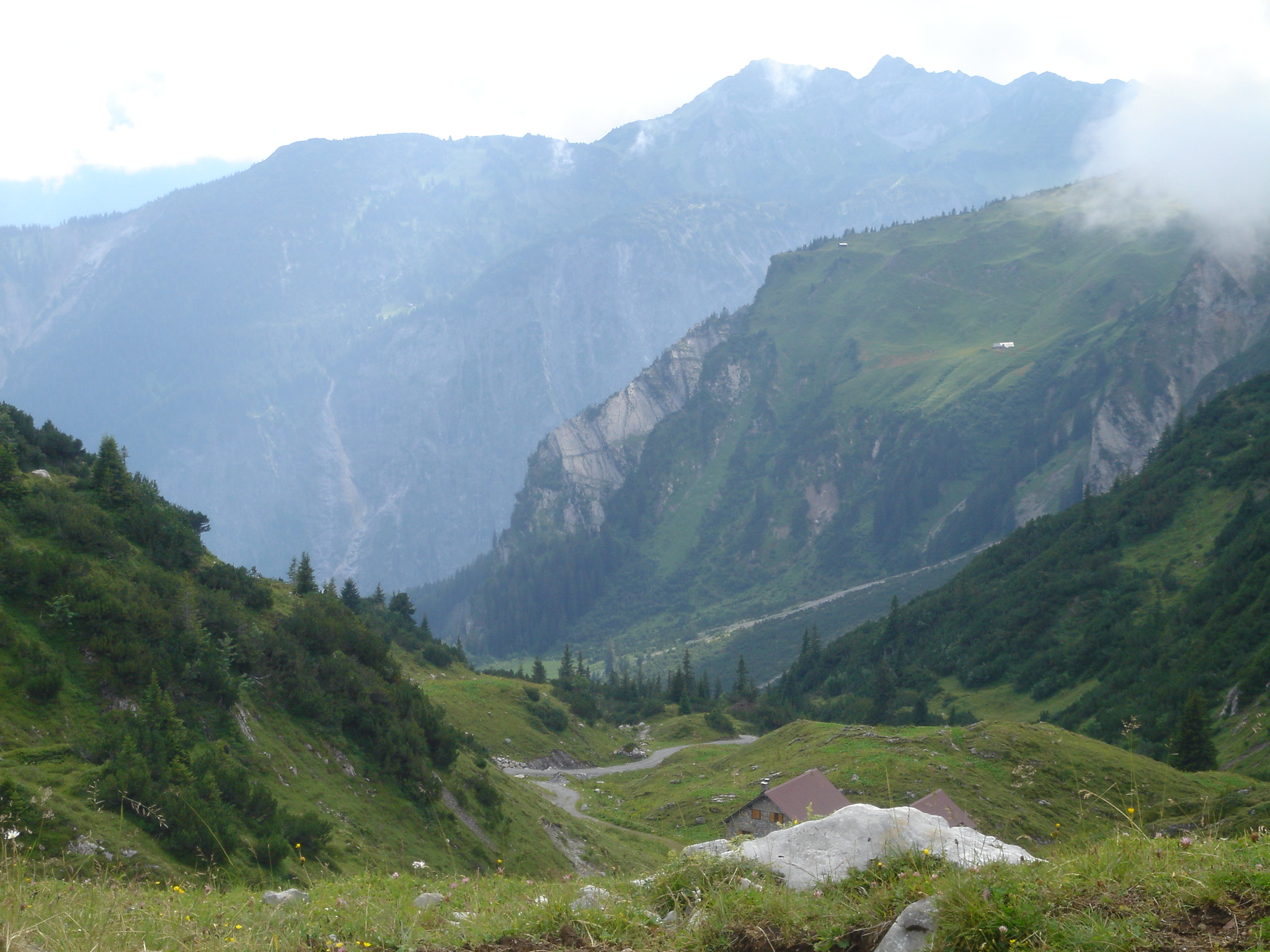 Downhill