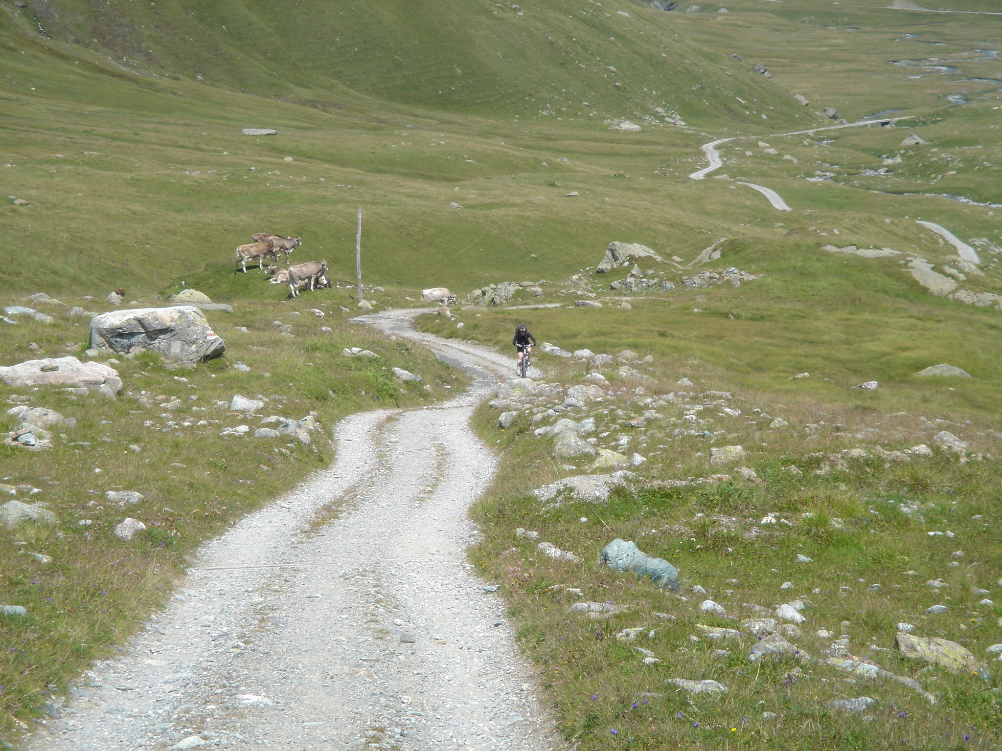 Pedalling