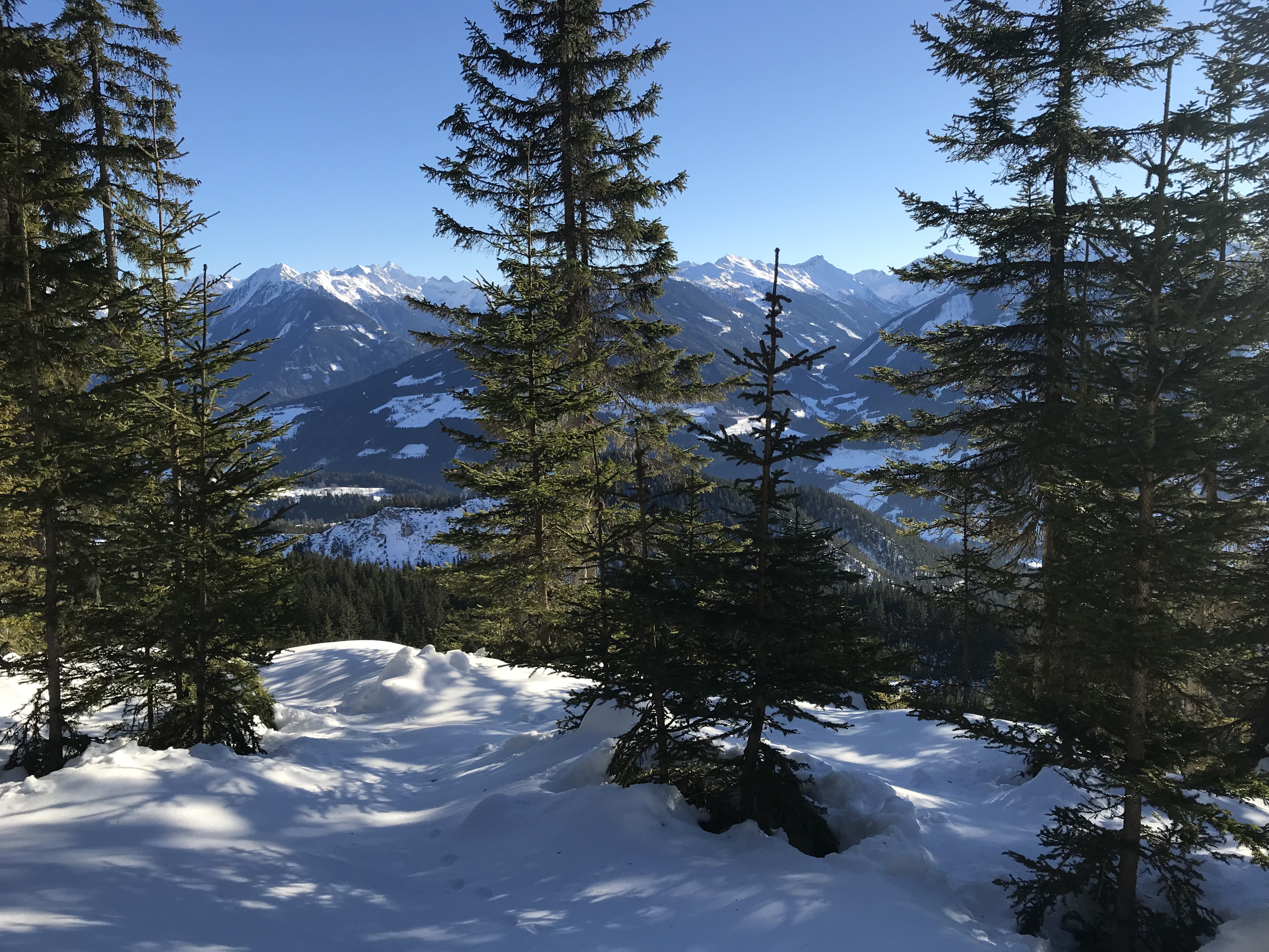 Tauern
