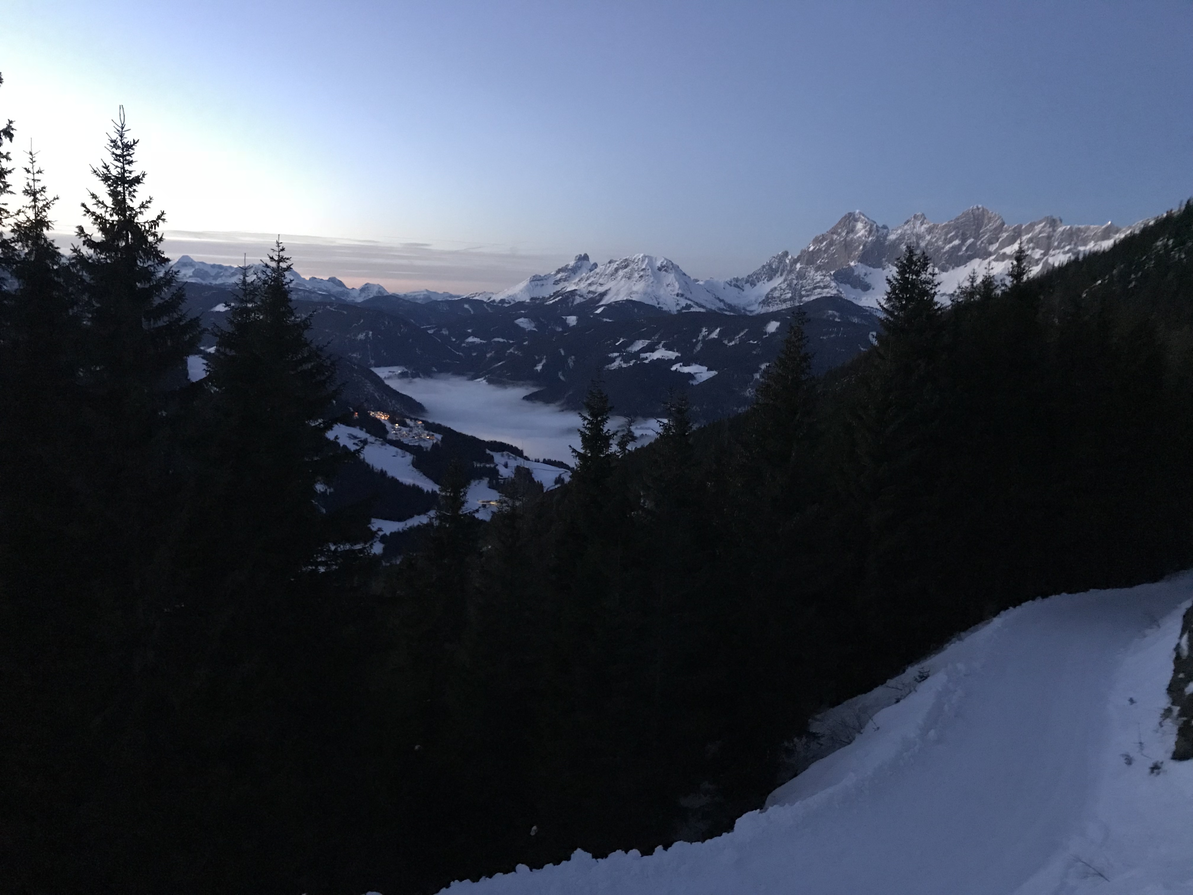 Vista