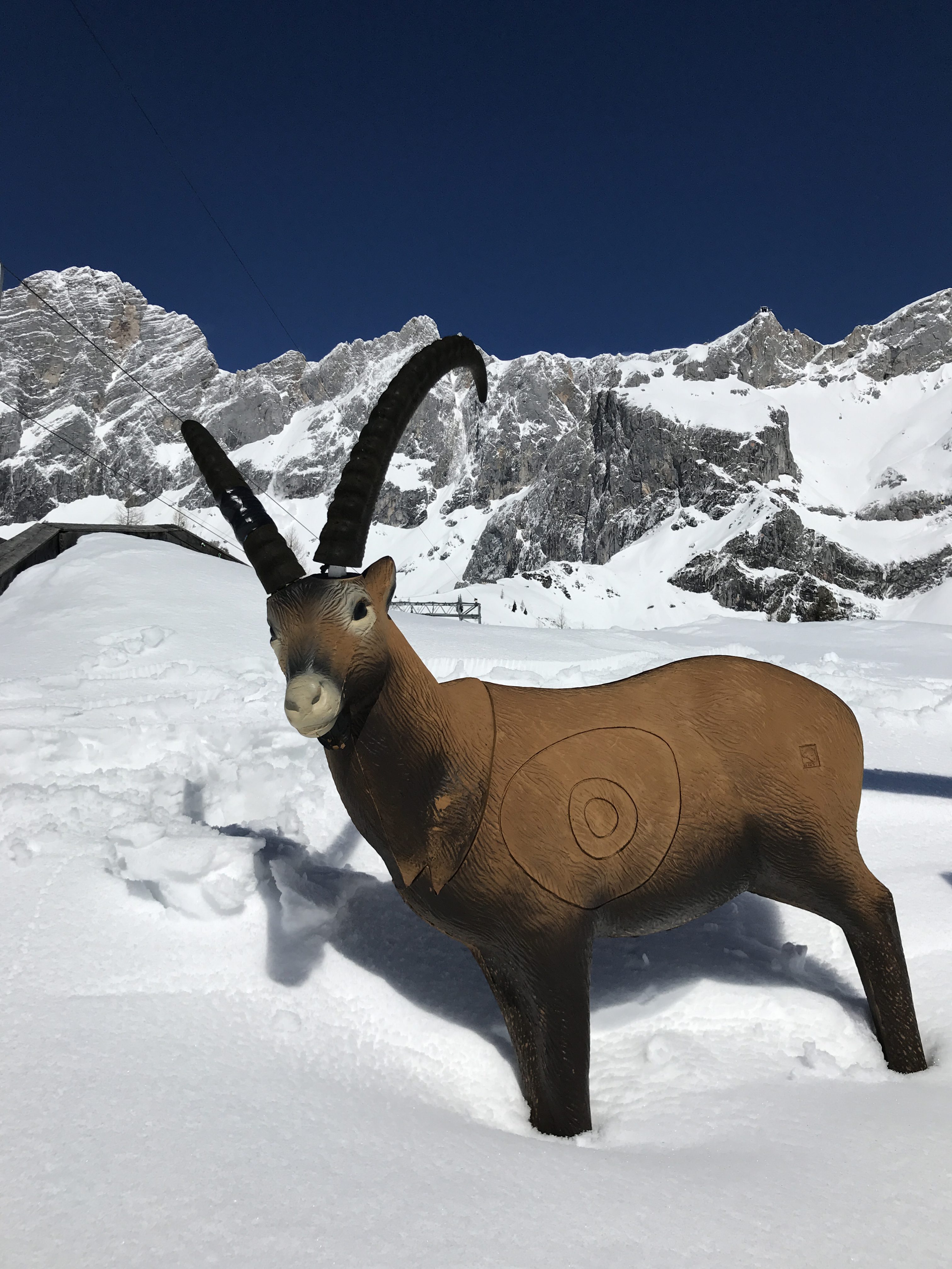 Steinbock