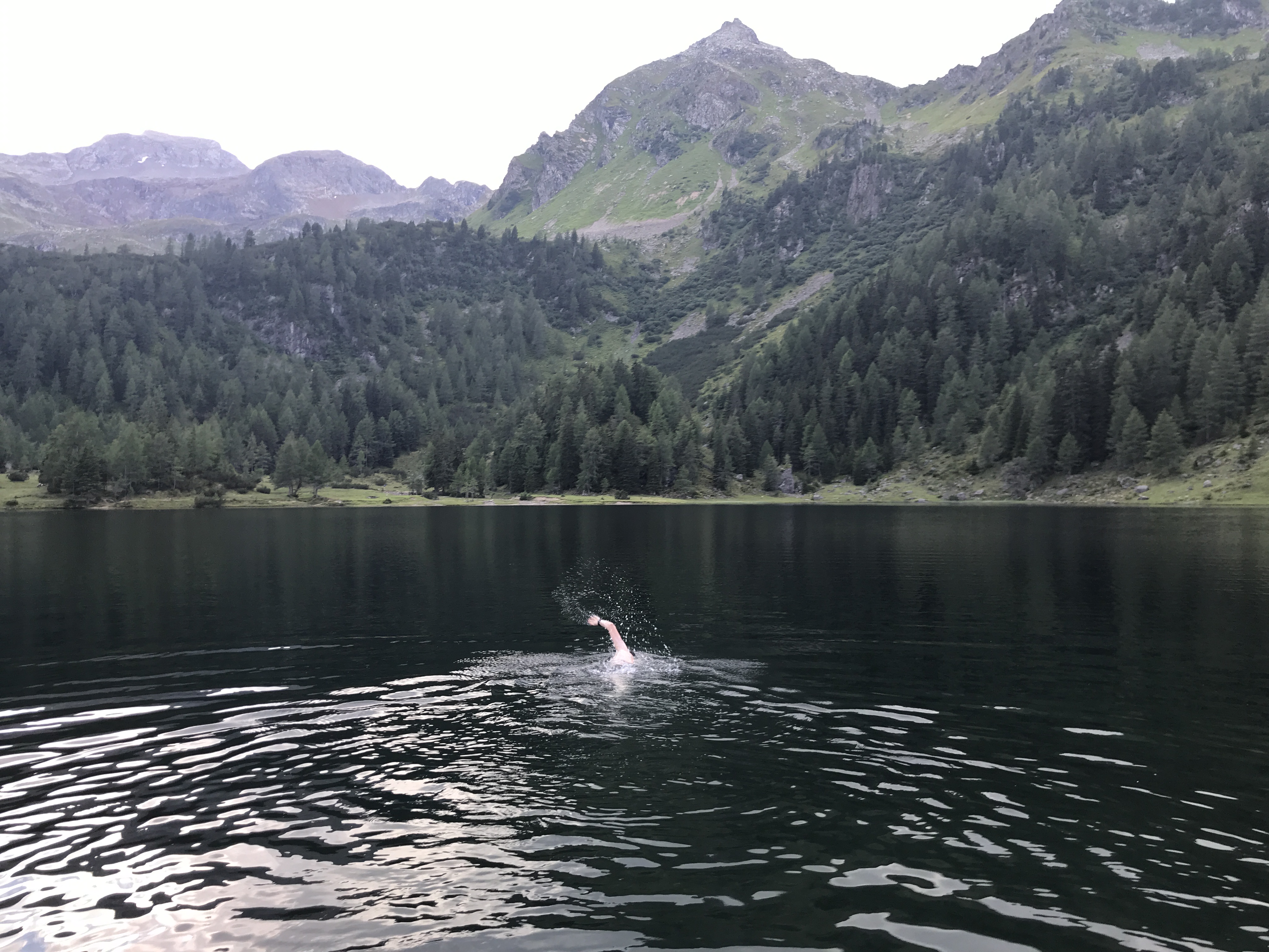 Swim