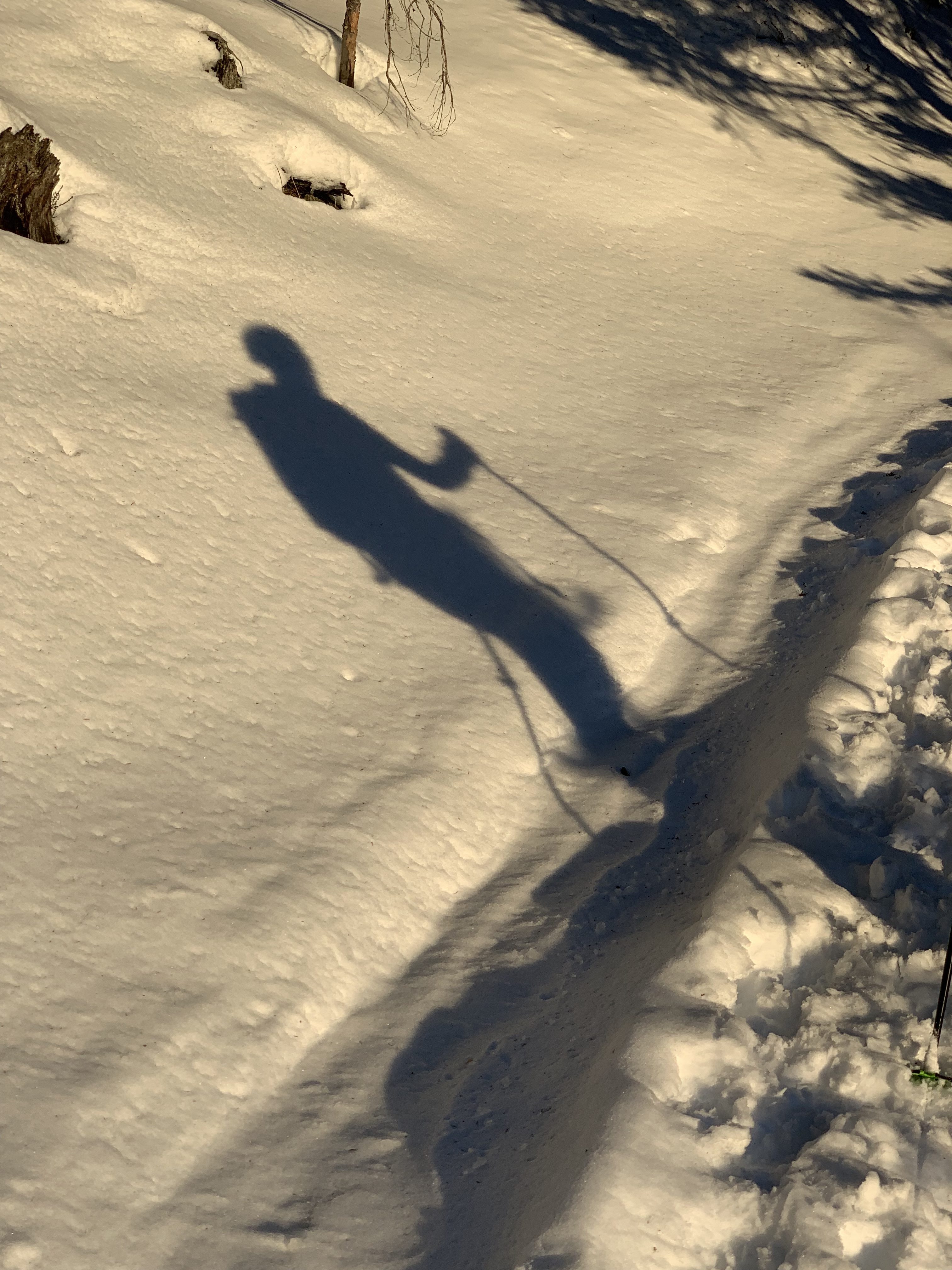 Shadow