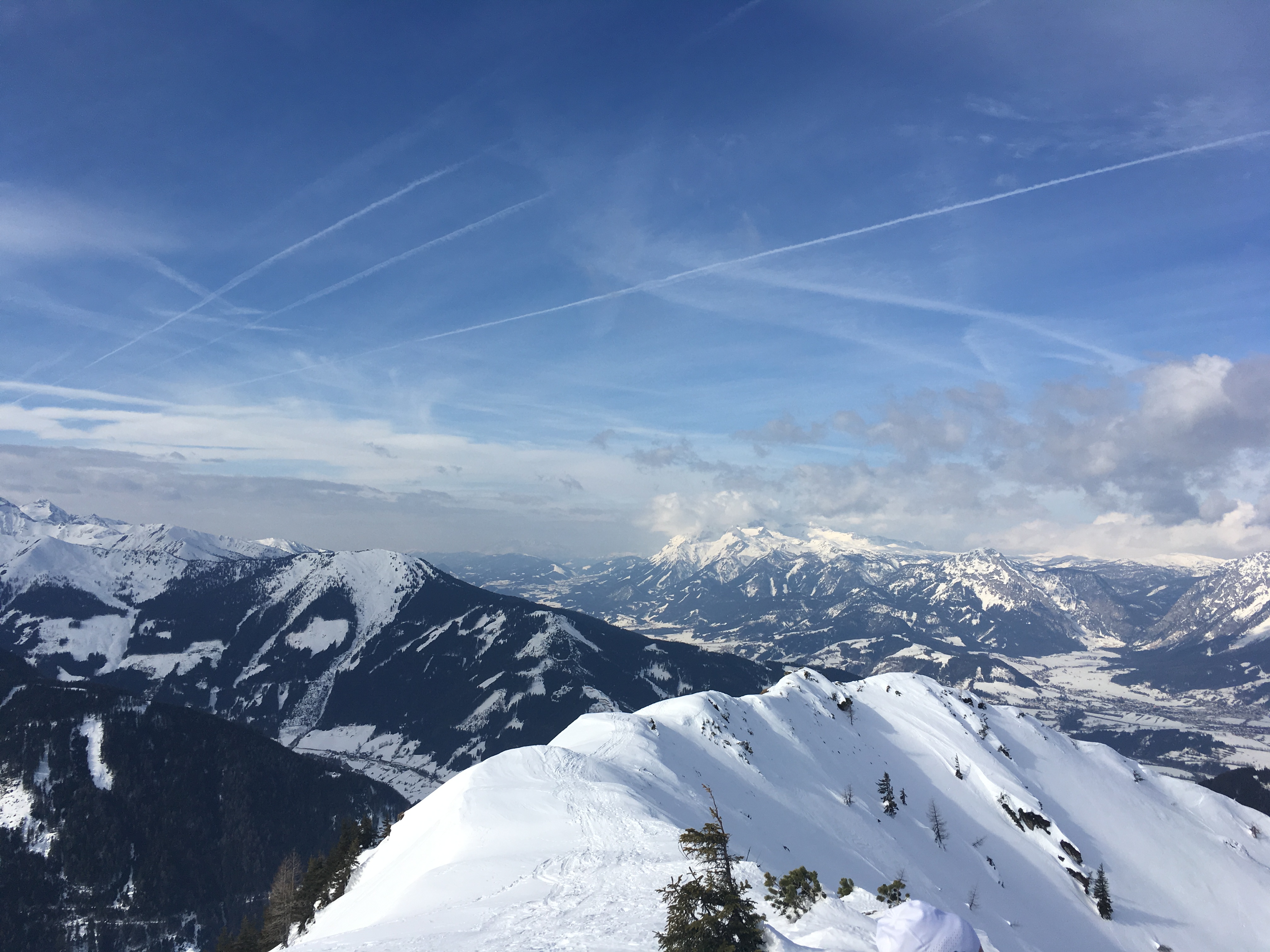 View