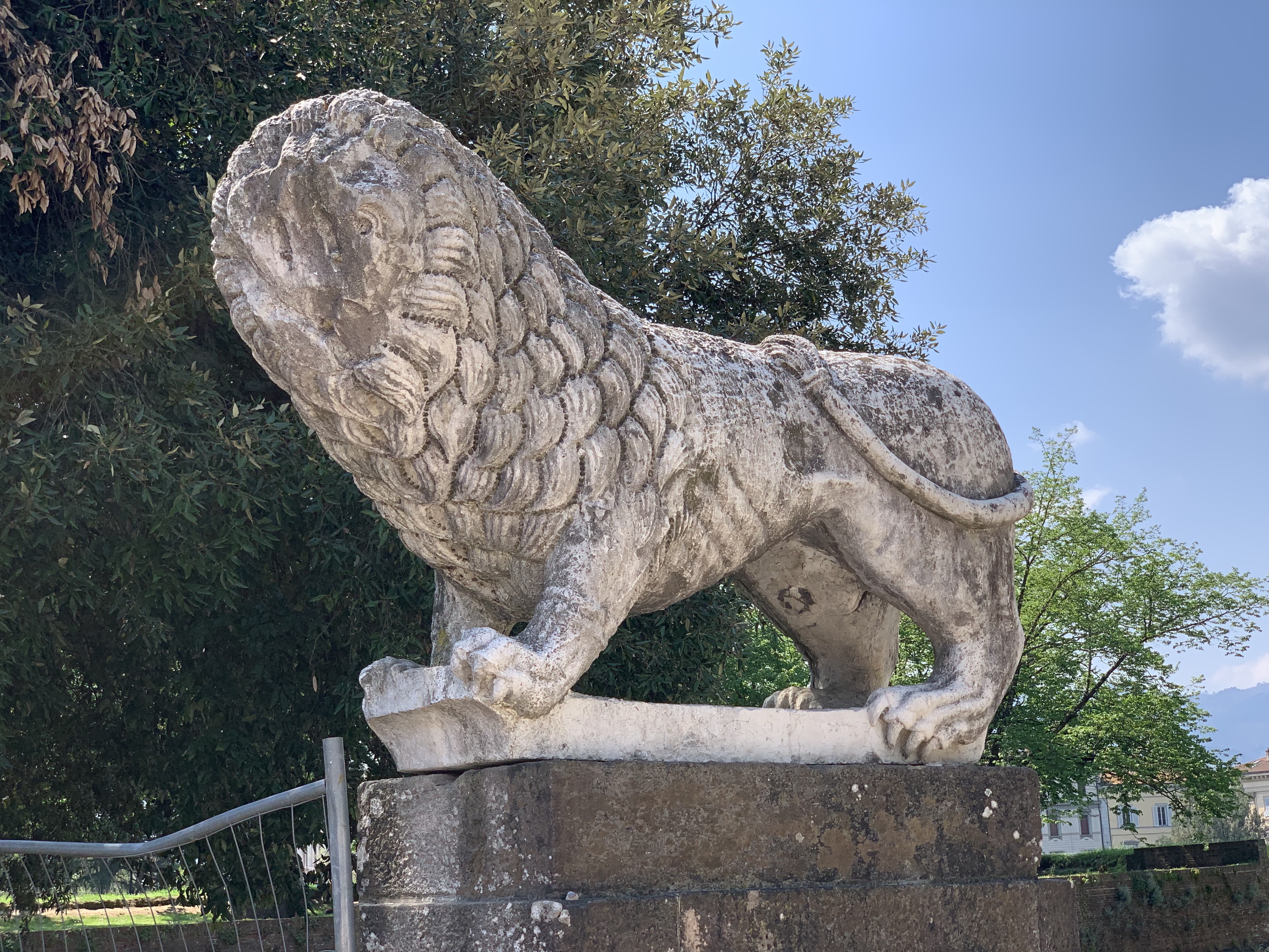 Lion