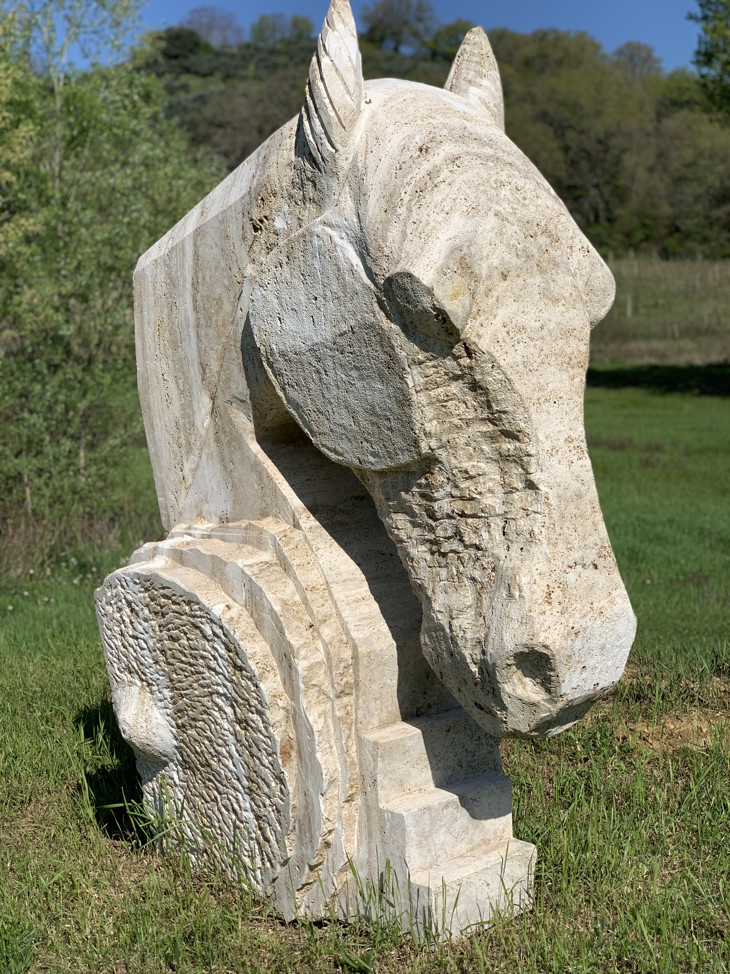 horse head