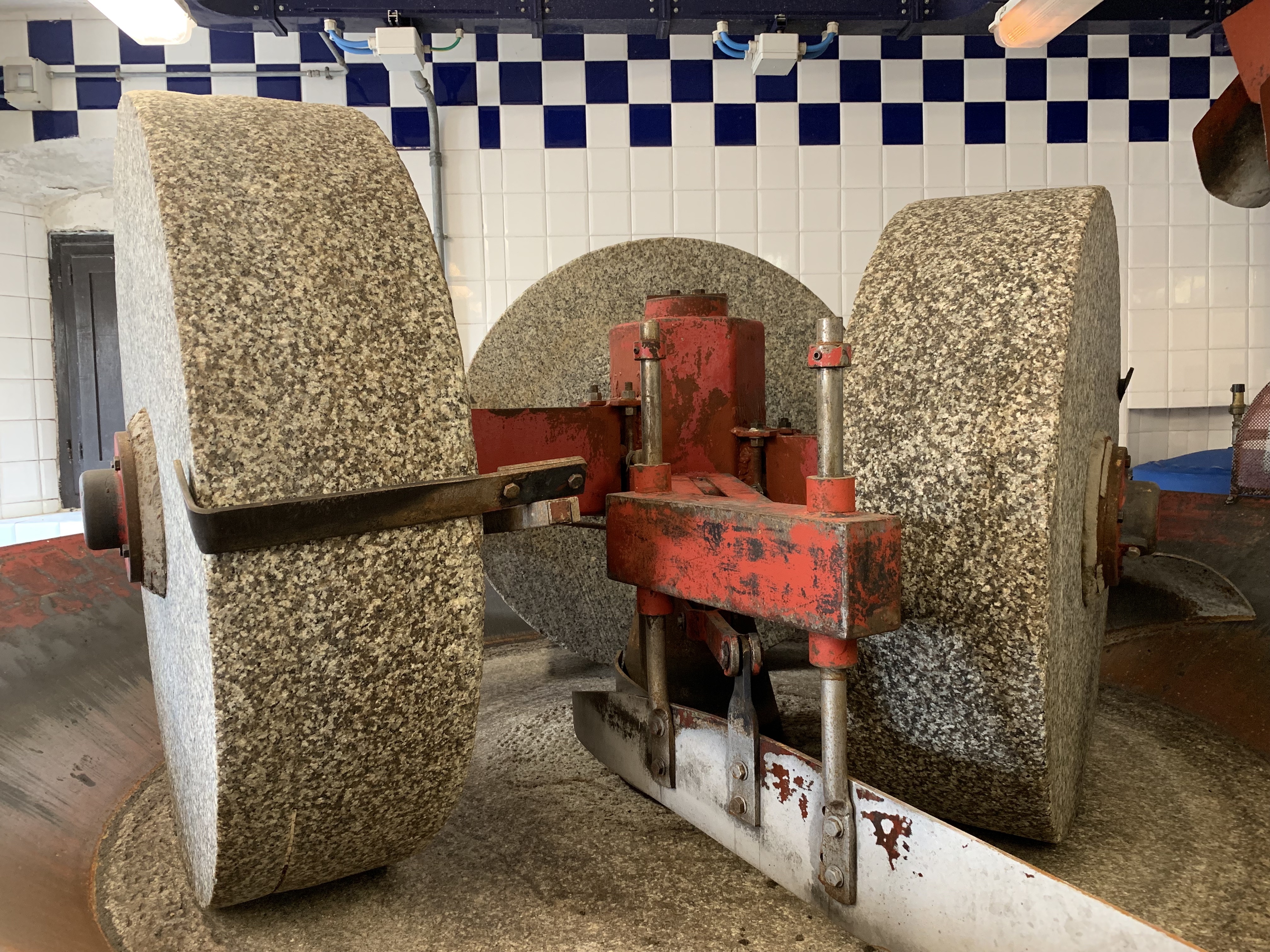 Olive oil production