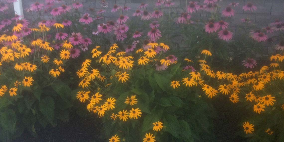 Landscaping Services in Baldwinsville, NY Mosher’s Landscaping LLC