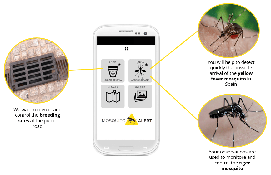 Mosquito Alert Project