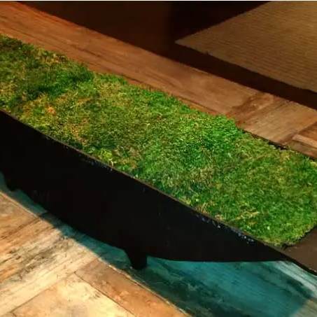 Wooded vessel filles with Sheet Moss